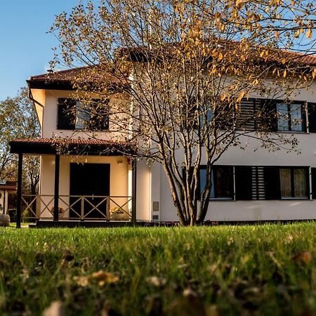 Pensiunea Negoiu Porumbacu de Sus Zewnętrze zdjęcie