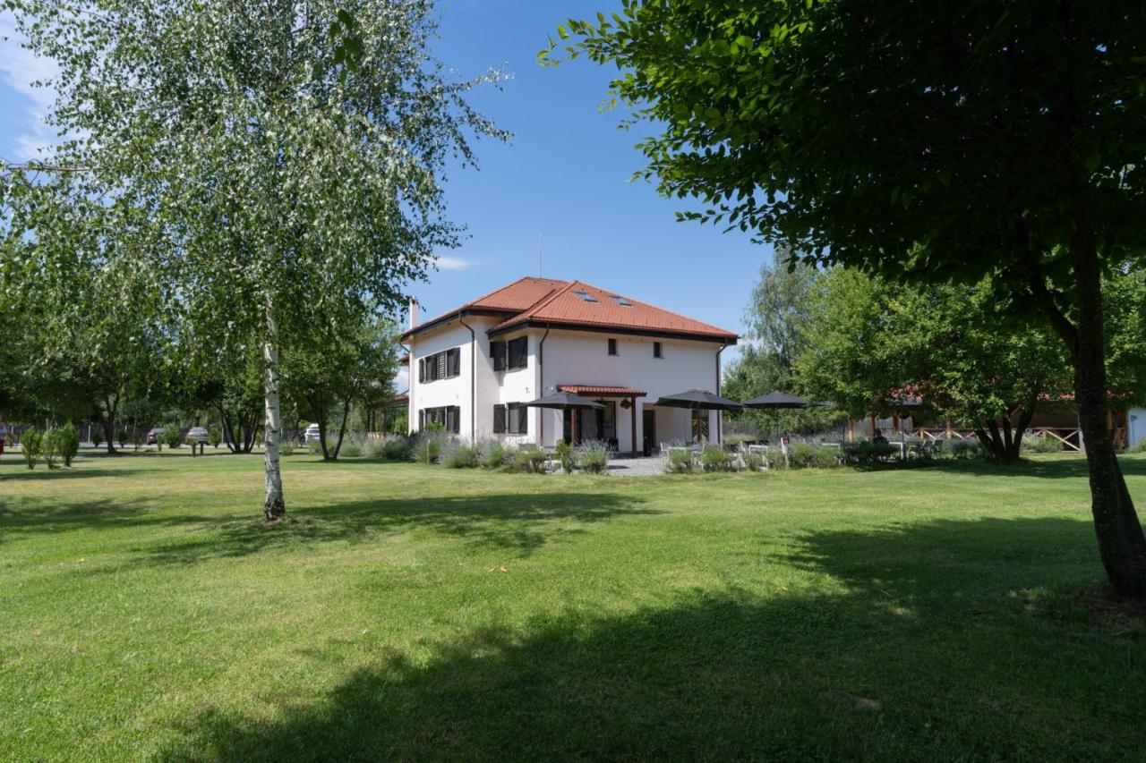 Pensiunea Negoiu Porumbacu de Sus Zewnętrze zdjęcie